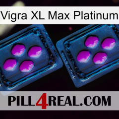 Vigra Xl Max Platinum 03